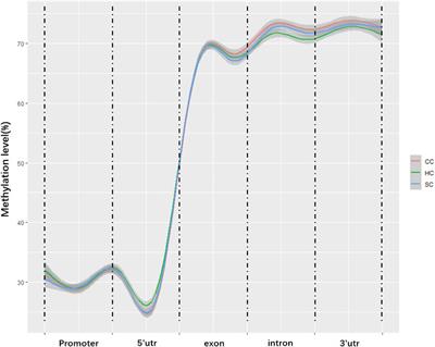 Genome-Wide DNA Methylation Profile in Jejunum Reveals the Potential Genes Associated With Paratuberculosis in Dairy Cattle